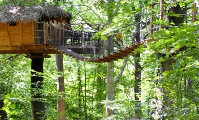 Cabane Le Canyon