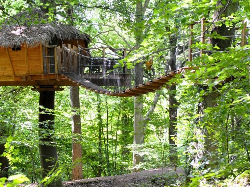 Cabane perchée dans les arbres, entourée de verdure luxuriante et de branches majestueuses.