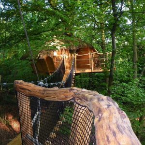 Cabane perchée dans les arbres, accessible par un pont suspendu, entourée de verdure luxuriante.
