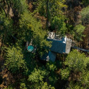 Cabane perchée en pleine forêt, entourée darbres verdoyants et dune terrasse.
