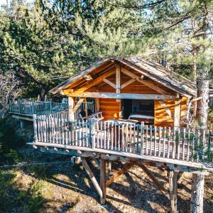 Cabane perchée en bois, entourée de pins, avec terrasse ensoleillée en Provence-Alpes-Côte dAzur.