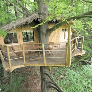 Cabane dans les arbres en bois, avec terrasse suspendue et vue sur la forêt verdoyante.