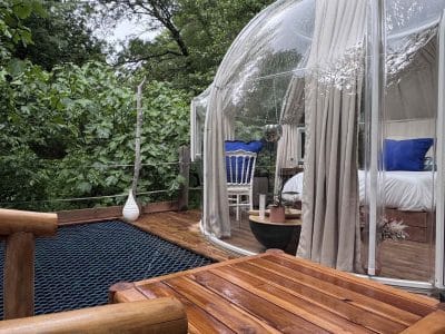 Hébergement insolite en bulle transparente, entouré de verdure, avec terrasse en bois.