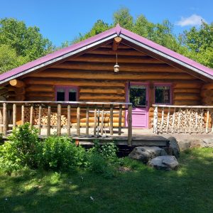 Charmante cabane en bois avec un toit violet, entourée de verdure et de bûches empilées.