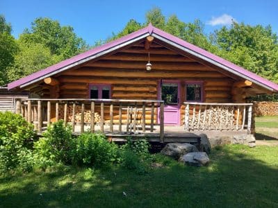 Charmante cabane en bois avec un toit violet, entourée de verdure et de bûches empilées.