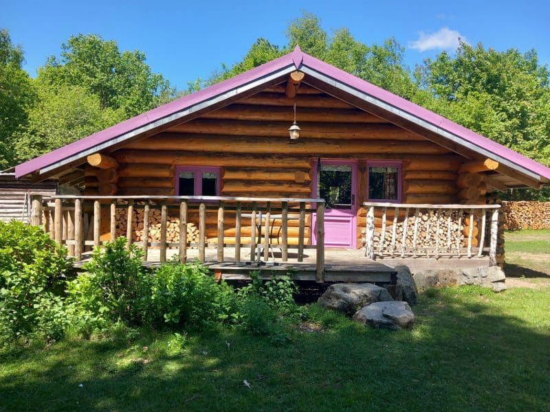 Charmante cabane en bois avec un toit violet, entourée de verdure et de bûches empilées.