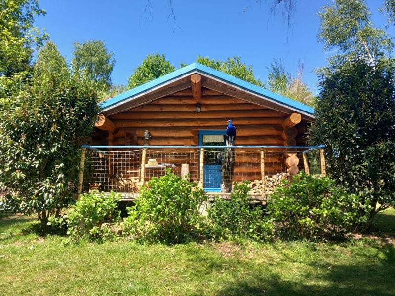 Charmante cabane en bois avec un balcon, entourée de verdure et d'un ciel bleu.
