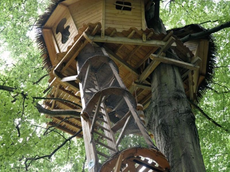 Cabane dans les arbres avec une structure en bois, perchée au milieu d'un feuillage verdoyant.