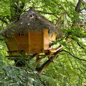 Cabane dans les arbres en bois, avec un toit de chaume, nichée au cœur d'une verdure luxuriante.