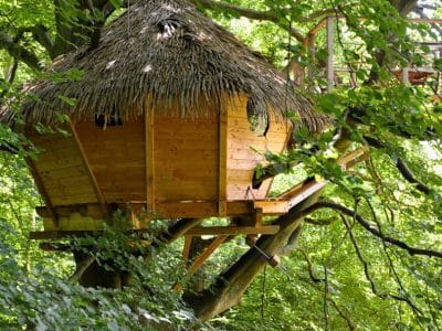 Cabane dans les arbres en bois, avec un toit de chaume, nichée au cœur d'une verdure luxuriante.