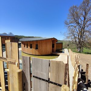 Hébergement insolite en Auvergne : cabane en bois flottant au bord dun étang.