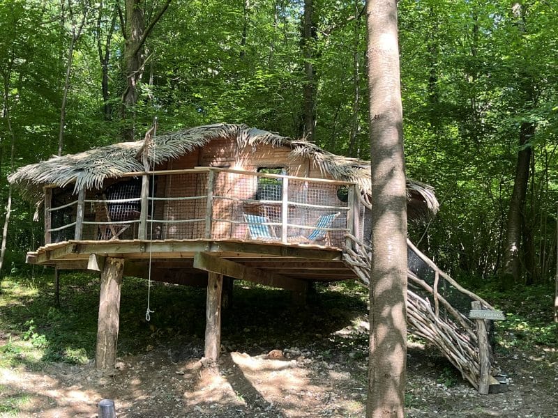 Cabane dans les arbres avec terrasse en bois, entourée de verdure luxuriante.