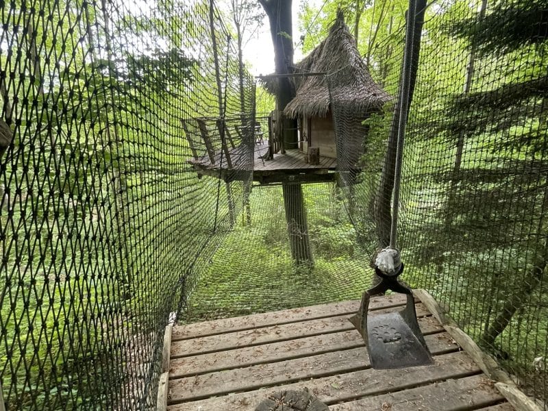 Cabane dans les arbres avec un filet suspendu, entourée de verdure luxuriante.