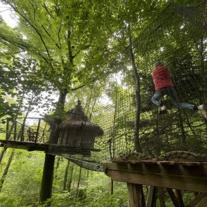 Cabane dans les arbres, perchée entre les feuillages, avec un filet suspendu pour l'aventure.