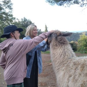 Séjour insolite en pleine nature, câlins à un lama dans un cadre verdoyant.