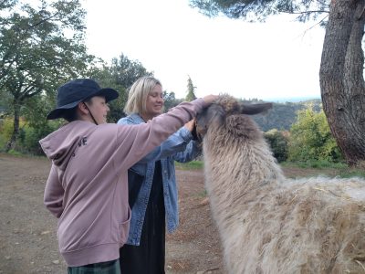 Séjour insolite en pleine nature, câlins à un lama dans un cadre verdoyant.
