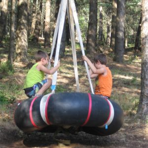 Deux enfants s'amusent sur une balançoire en pneu, entourés de sapins verdoyants.