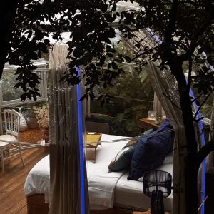 Hébergement insolite en Languedoc-Roussillon, chambre en verre entourée de verdure.