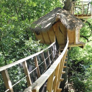 Cabane dans les arbres avec toit de chaume, accessible par une passerelle en bois.