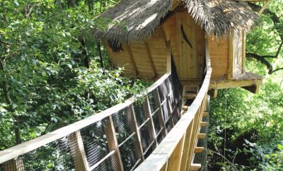 Cabane Le Baron Perché