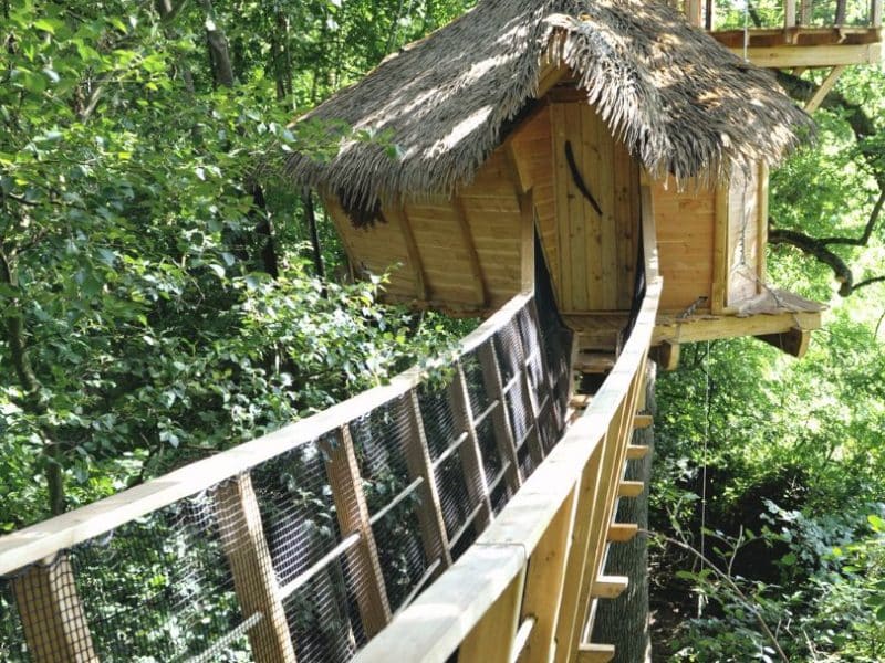 Cabane dans les arbres avec toit de chaume, accessible par une passerelle en bois.