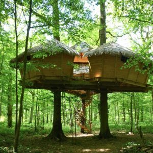 Cabane dans les arbres avec toits de chaume, perchée au cœur d'une forêt verdoyante.