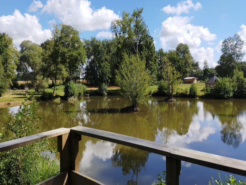 Chalet au bord dun étang, entouré de verdure et sous un ciel ensoleillé.