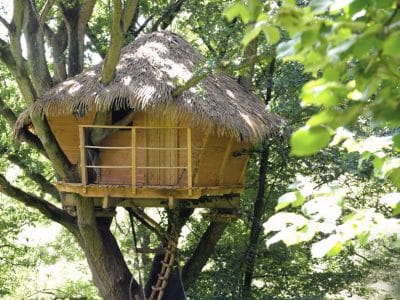 Cabane dans les arbres avec toit de chaume, perchée au cœur d'une verdure luxuriante.