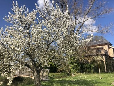 Cabane perchée en Midi-Pyrénées, entourée de fleurs blanches et dun pont en bois.