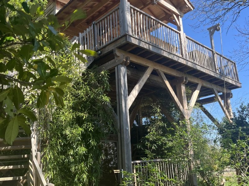 Cabane en bois sur pilotis avec balcon, entourée de verdure luxuriante.
