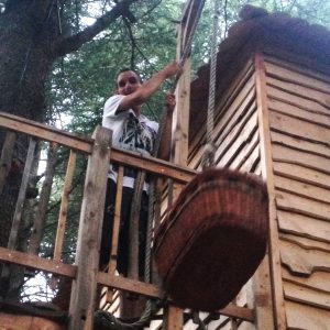 Cabane dans les arbres avec un panier suspendu, entourée de verdure et de bois chaleureux.