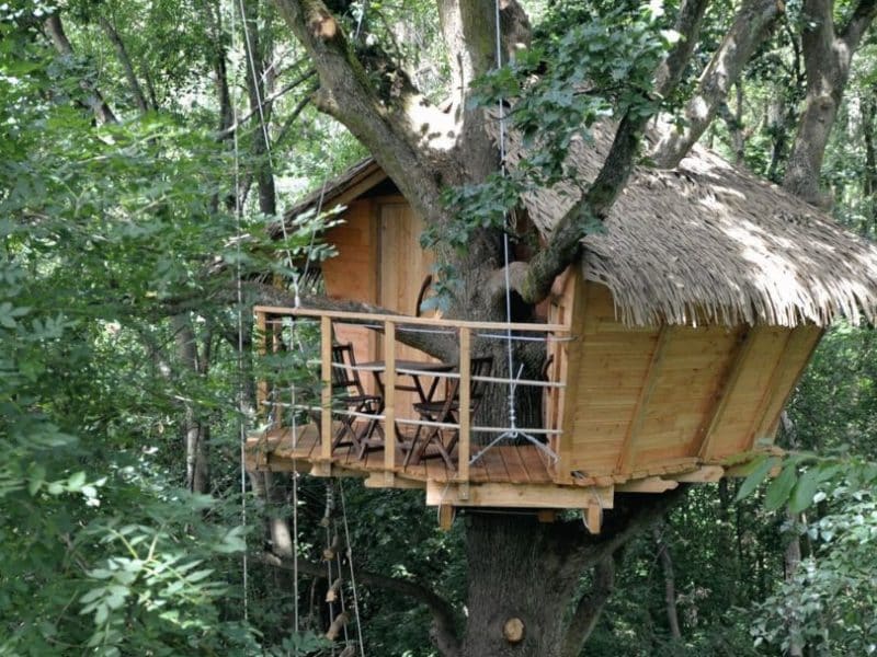 Cabane dans les arbres en bois avec toit de chaume, perchée au milieu d'une verdure luxuriante.