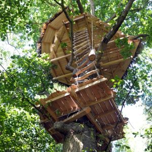 Cabane dans les arbres, perchée entre les feuillages, avec une échelle en bois rustique.