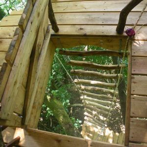 Cabane dans les arbres avec une vue plongeante sur une échelle en bois entourée de verdure.
