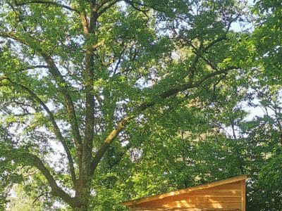 Charmante cabane en bois, nichée sous un grand arbre, avec une terrasse accueillante.