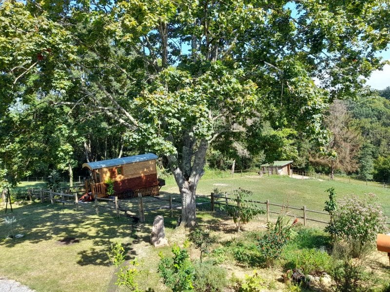 Charmante roulotte en bois, nichée sous un grand arbre, entourée de verdure et de tranquillité.