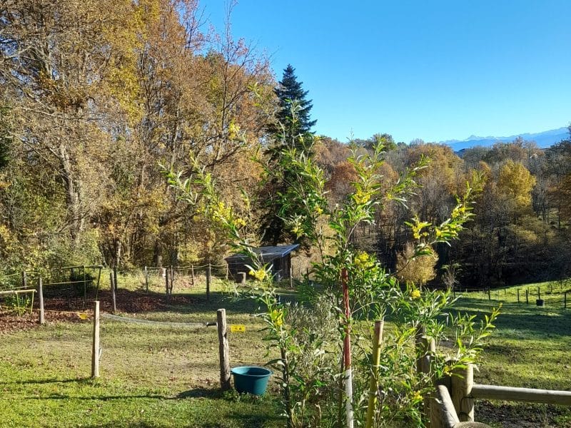 Gîte rural avec vue dégagée sur la nature et des arbres colorés en automne.