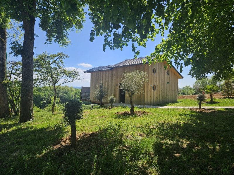 Chalet en bois entouré darbres, offrant une vue dégagée sur la nature.