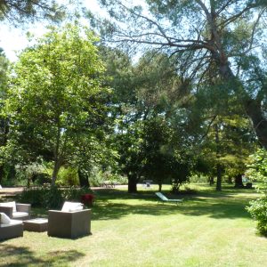 Espace de détente en plein air avec mobilier moderne, entouré d'arbres verdoyants.