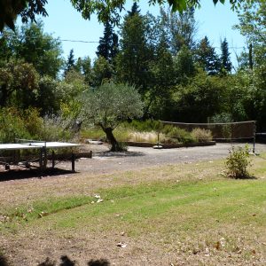 Espace extérieur d'un hébergement insolite avec tables de ping-pong et verdure luxuriante.