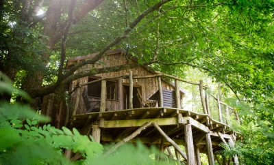 cabane pivert