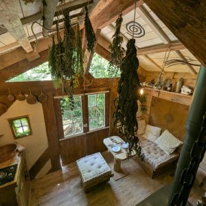 Cabane en bois avec un intérieur chaleureux, plantes suspendues et coin salon confortable.