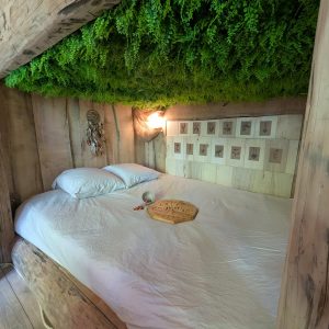 Chambre insolite avec lit en bois, décorée de plantes vertes et ambiance naturelle apaisante.