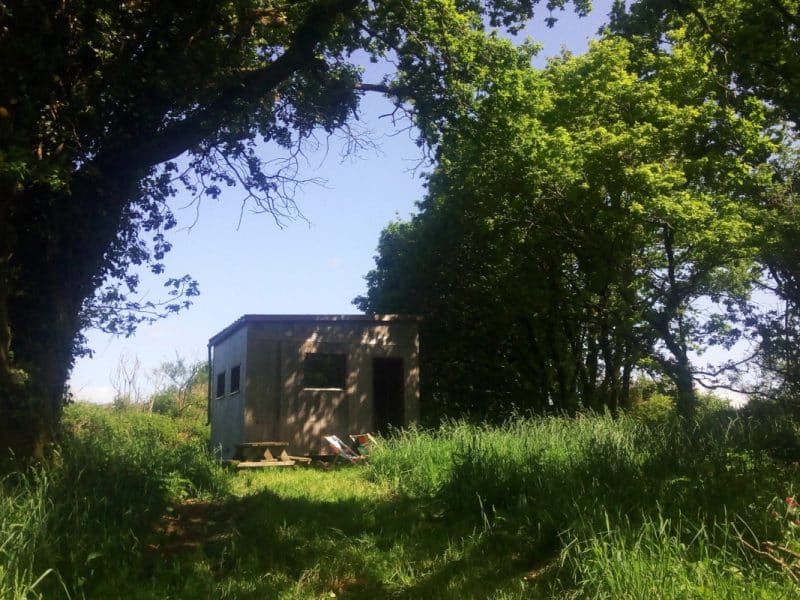 Cabane en bois entourée de verdure, idéale pour un séjour nature.