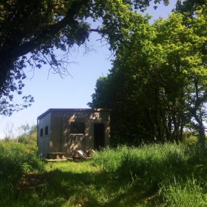 Cabane en bois nichée dans la verdure, entourée d'arbres et de champs luxuriants.