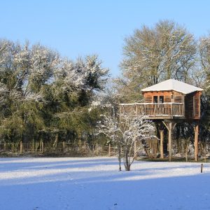 Cabane_dans_les_arbres_Family_Ecolodge_05
