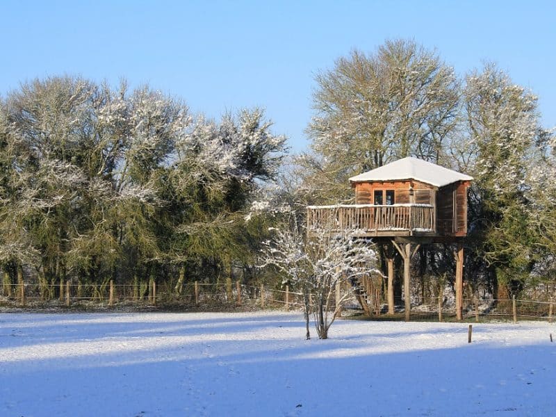 Cabane dans les arbres, perchée sur pilotis, entourée de neige et darbres gelés.