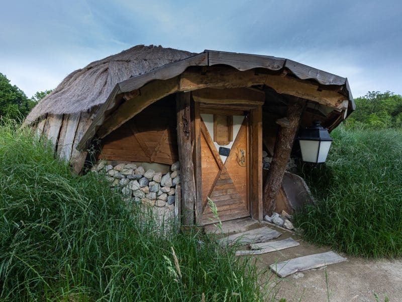 Hébergement insolite : une cabane en bois avec toit de chaume, entourée de verdure luxuriante.