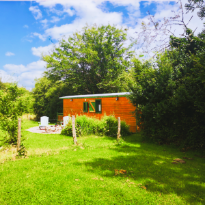 Cabane en bois entourée de verdure, avec un coin salon extérieur sur la pelouse.