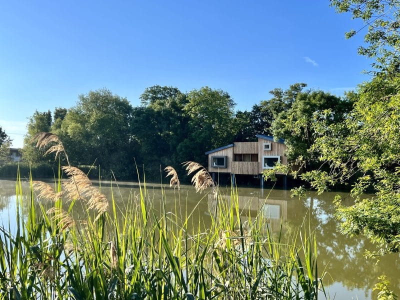 Cabane sur pilotis au bord de l'eau, entourée de verdure et de roseaux. Ciel bleu dégagé.
